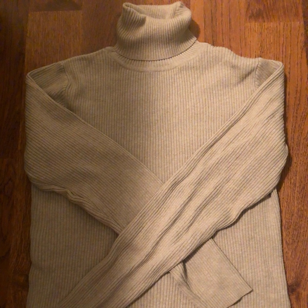 GAP turtle neck sweater